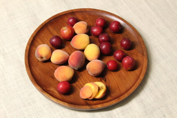 KRIMADH ROUND SERVING TRAY | MANGO WOOD (MANGIFERA INDICA) | BROWN FINISH | 12x12x1 INCH