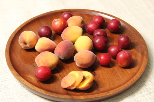 KRIMADH ROUND SERVING TRAY | MANGO WOOD (MANGIFERA INDICA) | BROWN FINISH | 12x12x1 INCH