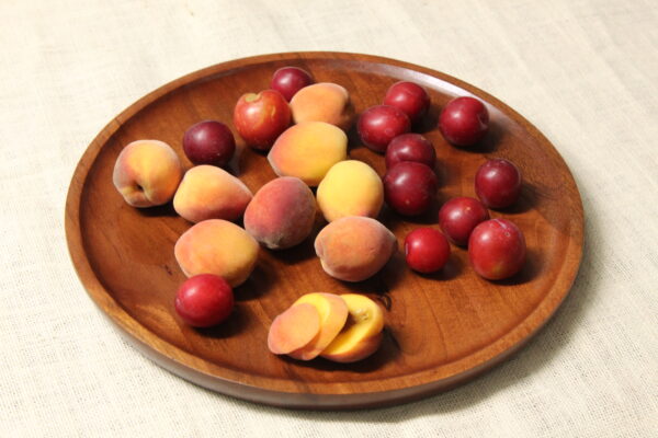 KRIMADH ROUND SERVING TRAY | MANGO WOOD (MANGIFERA INDICA) | BROWN FINISH | 12x12x1 INCH